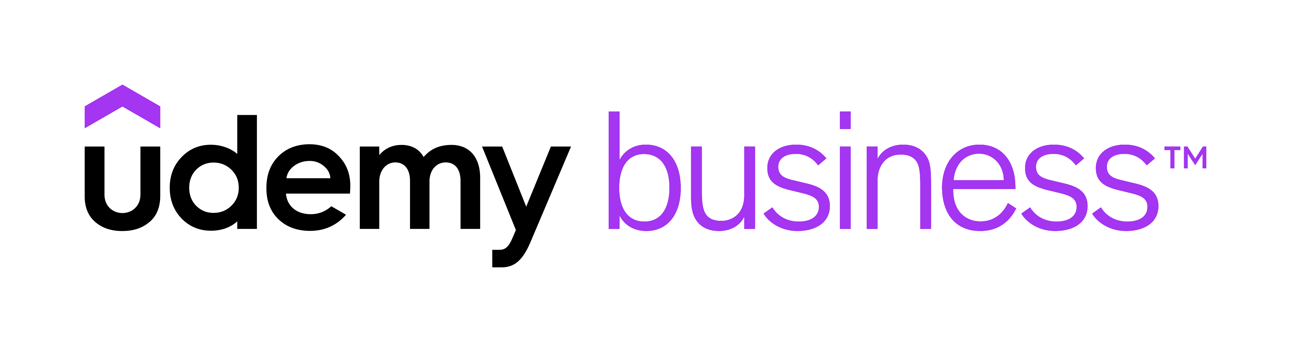 Udemy Business